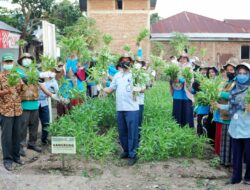 CSR PT PIM Gandeng BPP Dewantara Sukseskan Program Ã¢â‚¬Å“Kampoeng Tani SejahteraÃ¢â‚¬Â