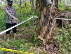 Hendak Bawa Nasi, Istri Temukan Suaminya di Kebun Sawit Lhoksukon Hangus Terbakar