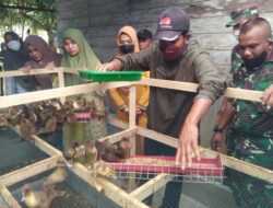 Janda Kurang Mampu di Lhoksukon Dapat Bantuan Ternak Bebek dan Budidaya Maggot dari Kodim Aceh Utara