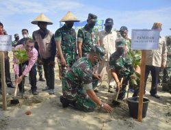 Cegah Abrasi Pantai, Mayjen Hasan Bersama Warga Tanam Mangrove di Pulau Seumadu