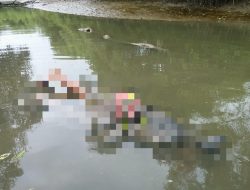 Warga Temukan Pria Meninggal Dunia di Tambak Ikan Seunuddon