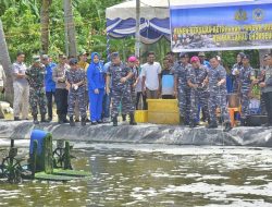 TNI AL Lanal Lhokseumawe Panen Budidaya Udang Vaname Bersama Danlantamal I Belawan