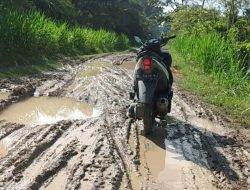 Jalan Rusak Puluhan Tahun, Warga Kutamakmur Harapkan Ada Respons Pemerintah