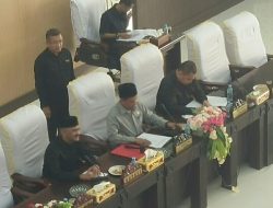 Usai Masa Jabatan Habis Sebagai Bupati, Cek Mad: Saya Berkebun Sajalah