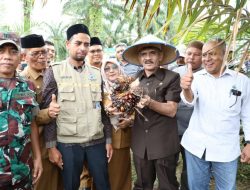 Bupati Aceh Utara Panen Perdana Sawit Ribuan Hektare Program PSRÃ‚Â 