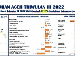 Pertumbuhan Ekonomi Aceh sampai dengan Triwulan III 2022