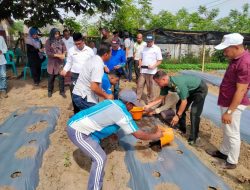 Karang Taruna Paloh Lada Dorong Pemuda Milineal Jadi Pengusaha Sukses Dibidang Sektor Pertanian