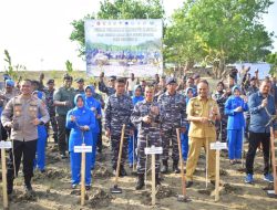 Danlanal Andi Susanto: Puncak Penanaman Mangrove Nasional, Lanal Lhokseumawe Tanam 2000 Bibit di Pantai Rancong