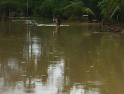 Hujan Deras, Sejumlah Daerah di Aceh Utara Banjir