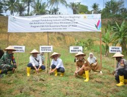 PT PLN NP Dukung UMKM Opak dan Ketahanan Pangan Bagi warga Lhokseumawe