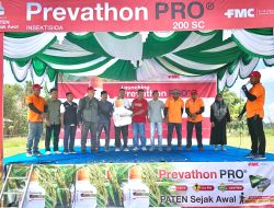 Solusi Terhadap Serangan Hama, Petani Aceh Utara Antusias Sambut Launching Produk Prevathon Pro 200 SC