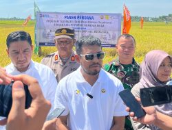 Dukung Ketahanan Pangan Nasional, PT PIM Panen Padi di Aceh Utara