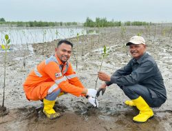 Hari Mangrove Sedunia 2024, PT PIM Tanam 1000 Bibit Pohon Mangrove