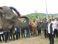 Realisasi Hibah Lahan Presiden Prabowo di Aceh, Menteri Kehutanan Tinjau CRU Peusangan