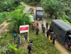 BBTNGL: Operasi Pemulihan Kawasan TNGL Aceh Tamiang