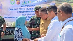 Bulog Lhokseumawe Perpanjang Beli Gabah Petani Hingga Akhir Mei Mendatang