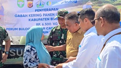 Bulog Lhokseumawe Perpanjang Beli Gabah Petani Hingga Akhir Mei Mendatang