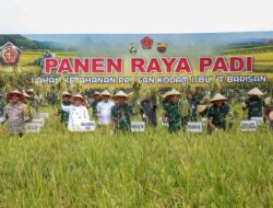 Panglima TNI Pimpin Panen Raya di Deli Serdang