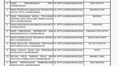 11 Nama Kepala OPD Yang Lolos JPT di Pemko Lhokseumawe