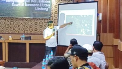 PT. IBAS Diduga Garap Lahan Perbatasan Hutan Lindung