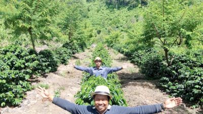 Dari Gayo, Armiyadi Bawa Asa Kopi Merajai Dunia