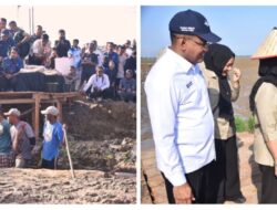 Rehabilitasi Sawah Pascabencana Dimulai, Aceh Utara Jadi Prioritas