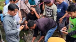 Warga Simeulue Tewas Diterkam Buaya, FJL Desak Pemerintah Bertindak Serius
