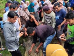 Warga Simeulue Tewas Diterkam Buaya, FJL Desak Pemerintah Bertindak Serius