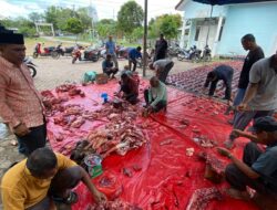 Geuchik Mur Sampaikan Terima Kasih kepada Presiden Prabowo Bantuan Sapi Meugang untuk Korban Banjir Tambon Tunong
