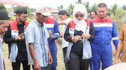 Dukung Pelestarian Ekosistem, PHE NSO Tanam Ratusan Mangrove dan Tebar 700 Bibit Kepiting