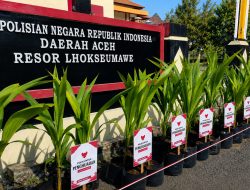 Inovasi Bertajuk Go Green: Polres Lhokseumawe Ganti Papan Bunga dengan Bibit Pohon di Hari Bhayangkara Ke-80