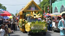Karnaval Di Bireuen Meriah