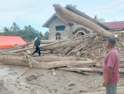 Jejak Banjir Bandang: Tumpukan Kayu Penuhi Pekarangan Warga Geudumbak, BNPB Kerahkan Excavator