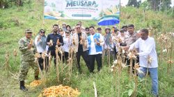 Momentum Hari Tani 2026: PLN NP UP Arun Dukung Kemandirian Petani Lhokseumawe Lewat Panen Jagung dan Program CSR