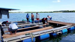 Pertamina Berdayakan Masyarakat Pesisir Batam, Olahan Hasil Laut Kampung Tua Terih Tembus Malaysia dan Singapura
