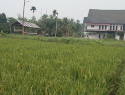 Keuchik Paya Beurandang: Patungan Rp300 Ribu untuk Aset Gampong Disepakati dalam Musyawarah
